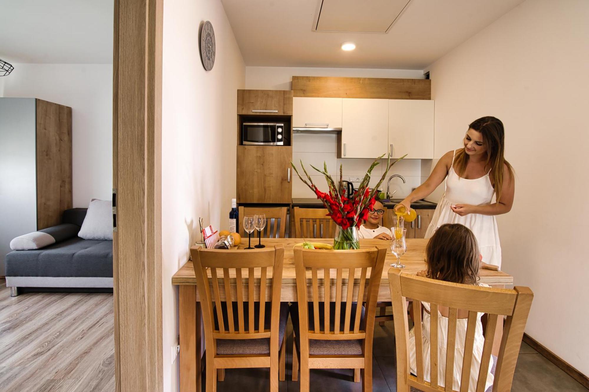 Sloneczne Wzgorze Zator Apartman Kültér fotó